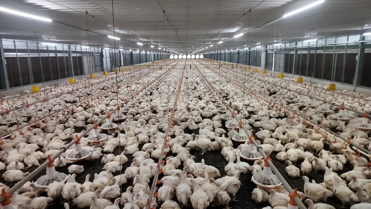 Agricultural infrastructure