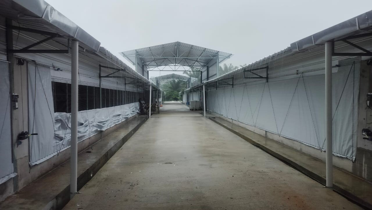 Donlark Poultry Farm