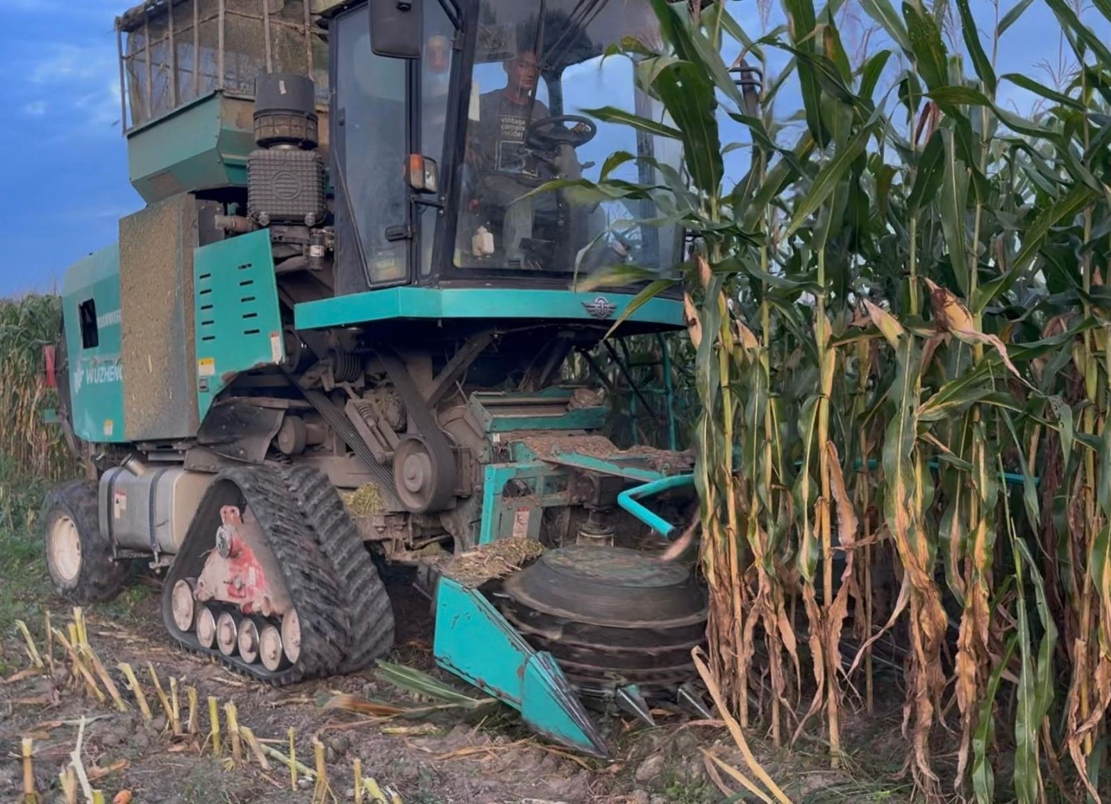 Baling machine wrapping silage bale